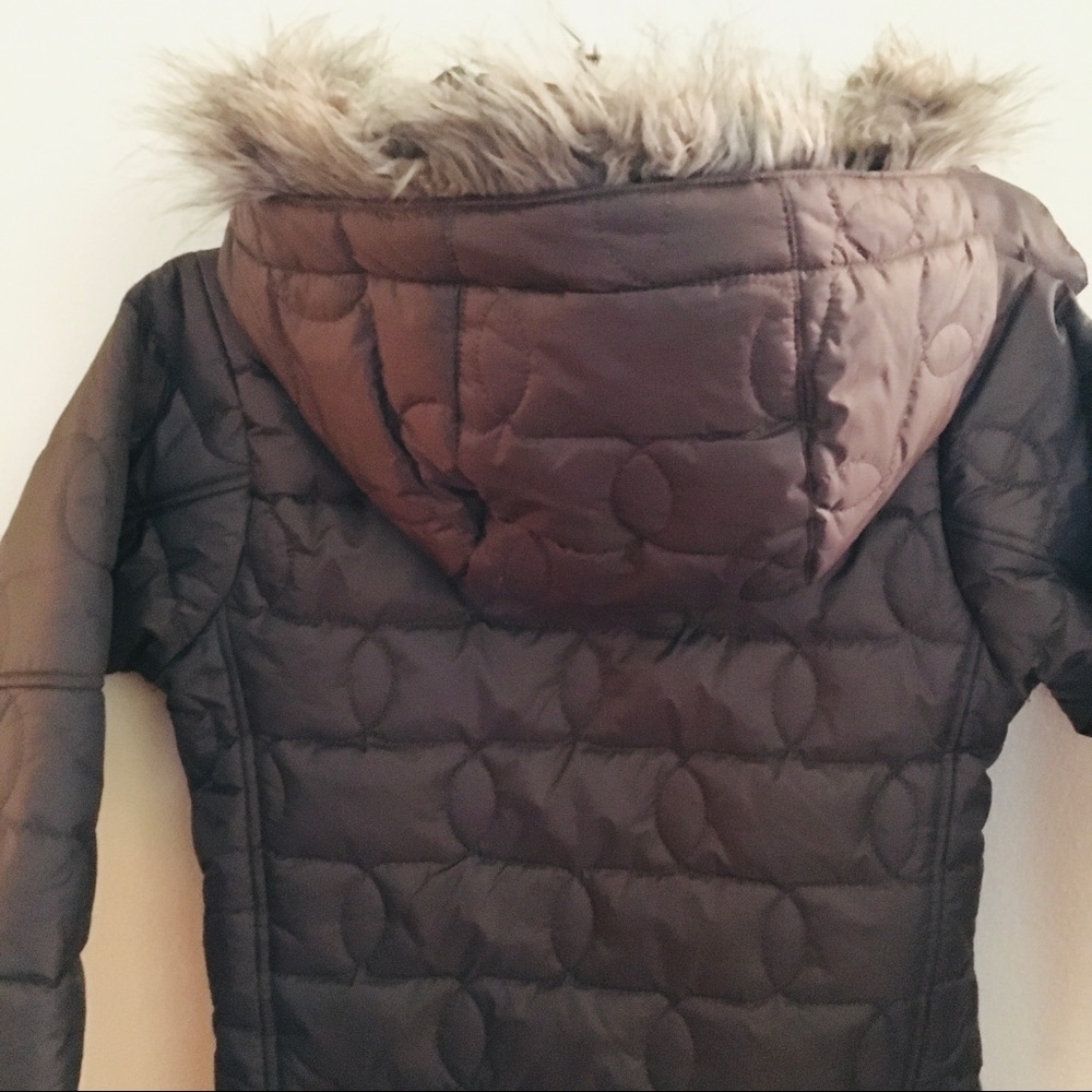 DC Puffer Jacket - Picture 11 of 12